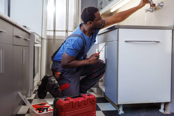 Best Local Plumber Services  in Boulder Hl, IL